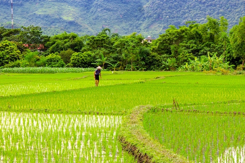 Day 2: Uoi Village (Bản Ươi) – Lan Village (Bản Lặn) | 6,5km Trekking - Hanoi  (Breakfast, Lunch)